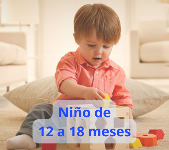Ropa para niño de 12 a 18 meses